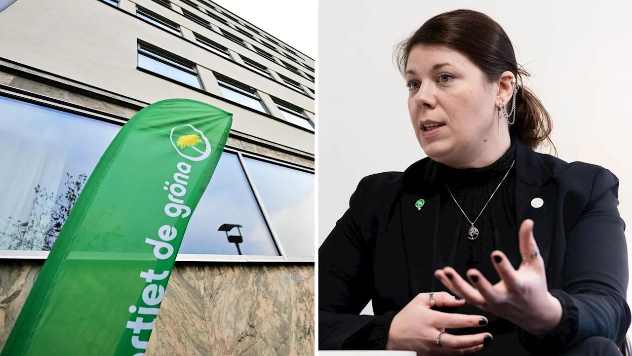 Elin Söderberg Avsäger Sig Riksdagsuppdrag Efter Inblandning Vid Efterfest