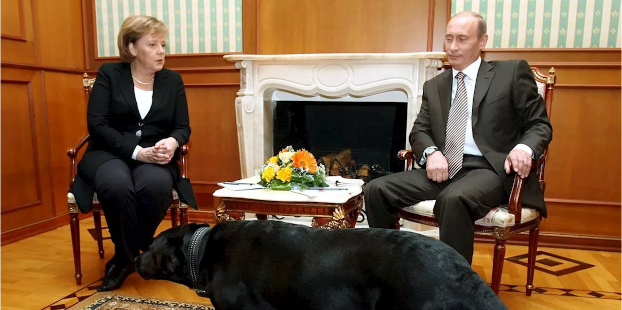 Putin bittet Merkel wegen Hund bei Treffen in Sotschi um Entschuldigung