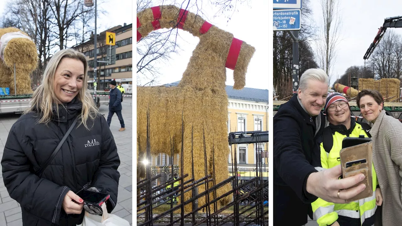 Gävles Halmbockbygge Äger Erövring: Bocken Tar Form