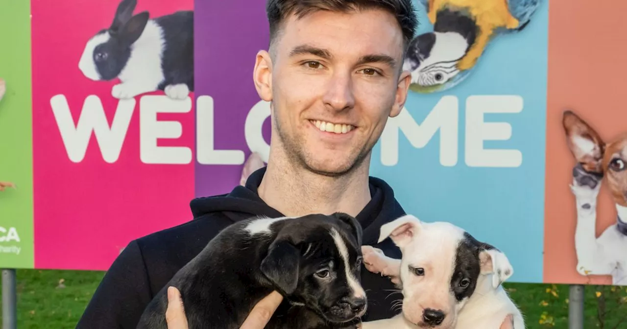 Former Celtic star Kieran Tierney pictured with adorable animals in visit to SSPCA Lanarkshire