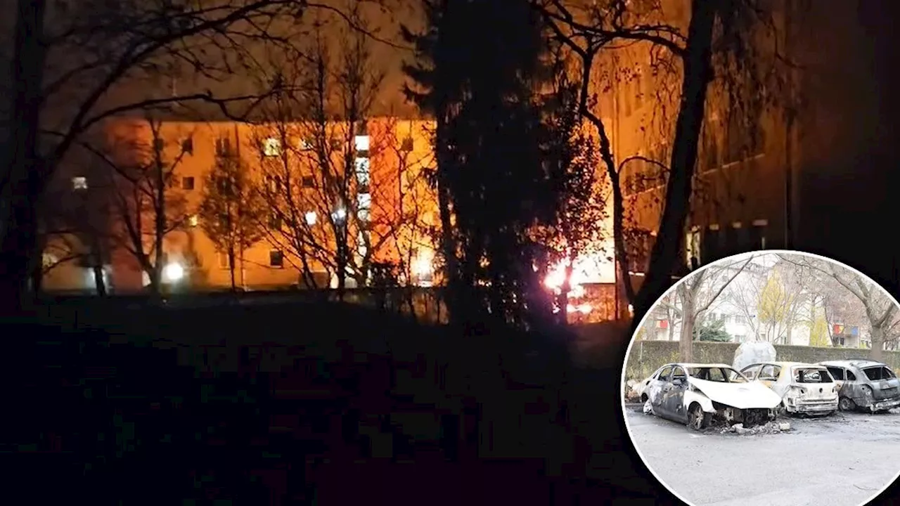 Auto-Inferno in Floridsdorf - Feuerteufel im Gemeindebau: 60-Jähriger tatverdächtig