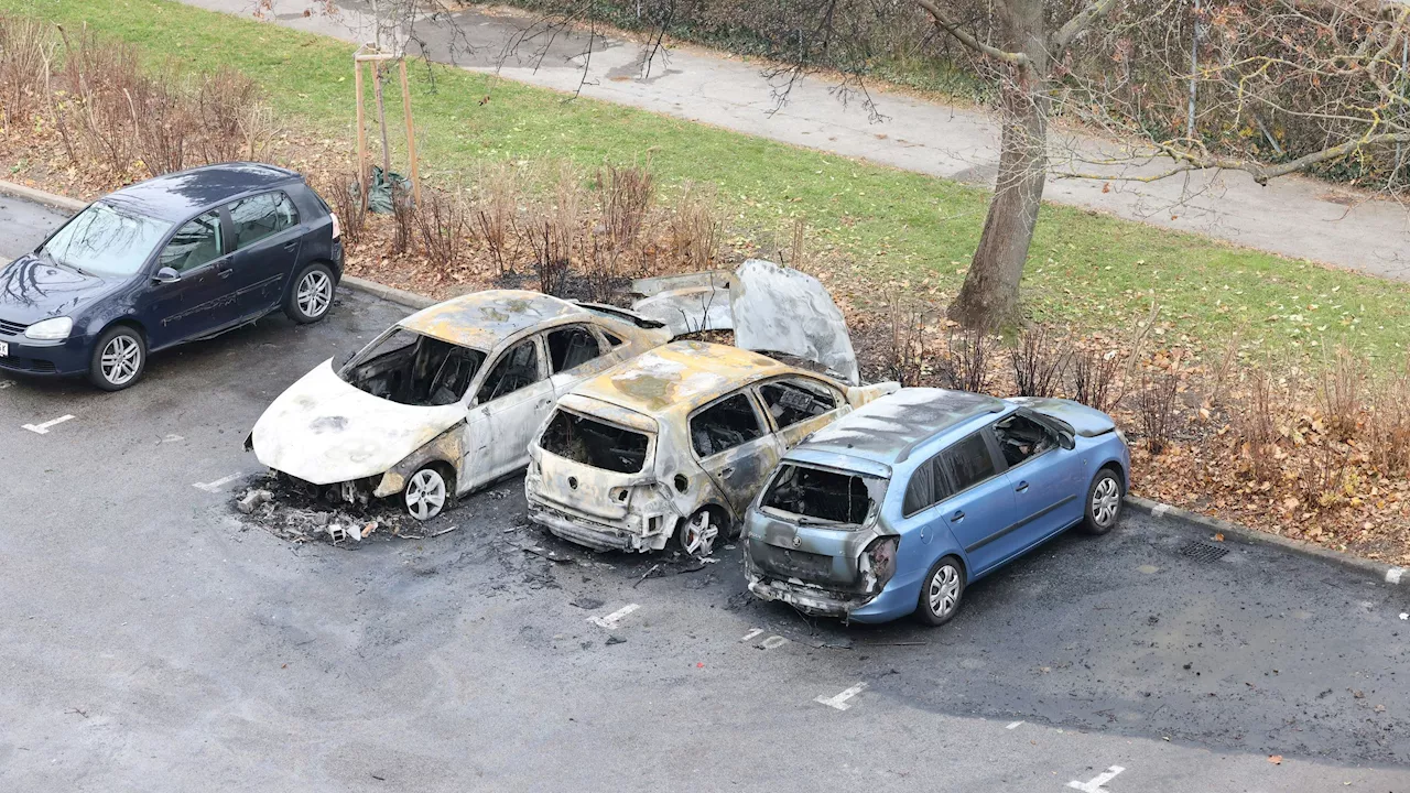 Neue Details zum Auto-Inferno - Familien-Streit – dann fackelte 60-Jähriger Autos ab