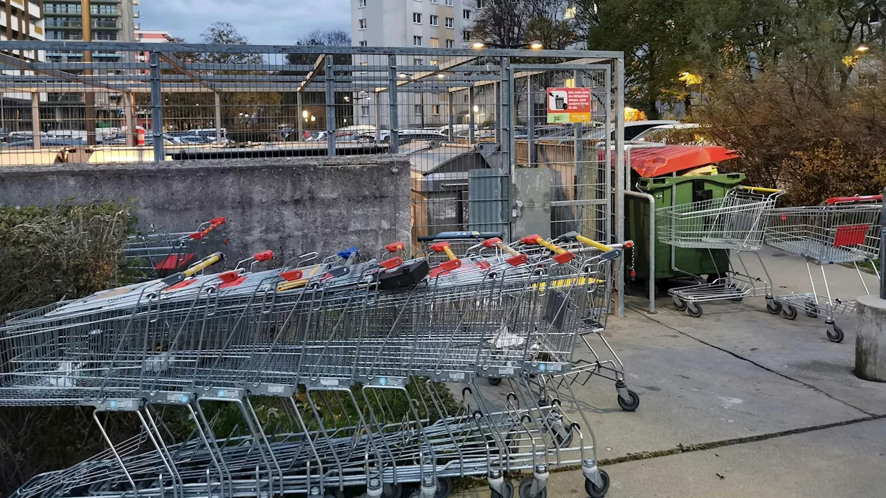  Wagerl-Wahnsinn! 'Bei uns stehen zehn oder mehr herum'