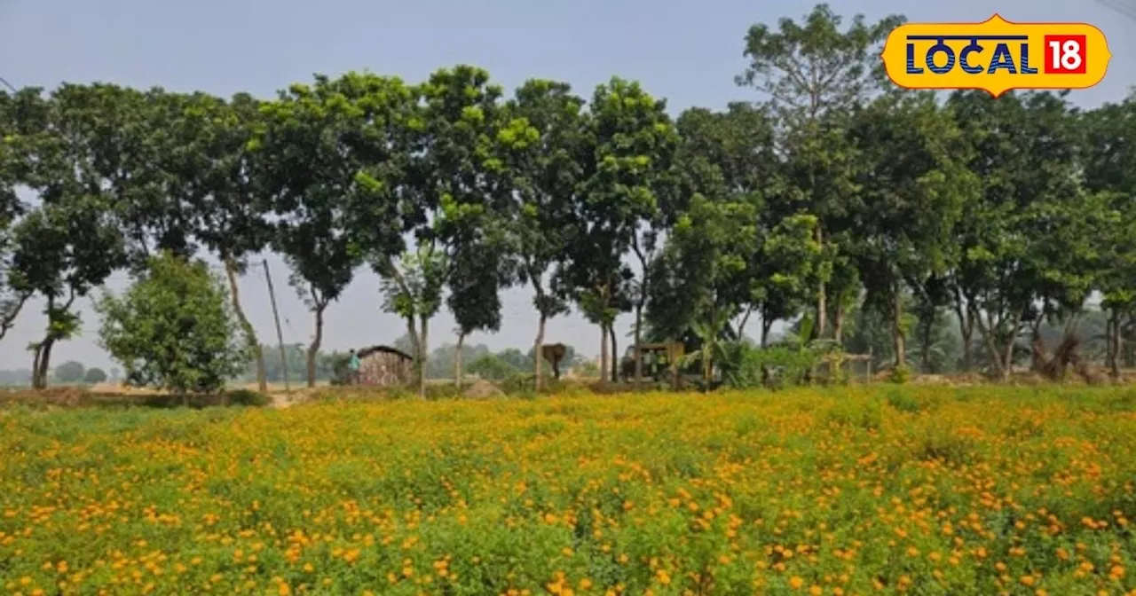 30 साल तक घर का सपना अधूरा, फिर शुरू की इस फूल की खेती, अब बना डाली आलीशान हवेली!