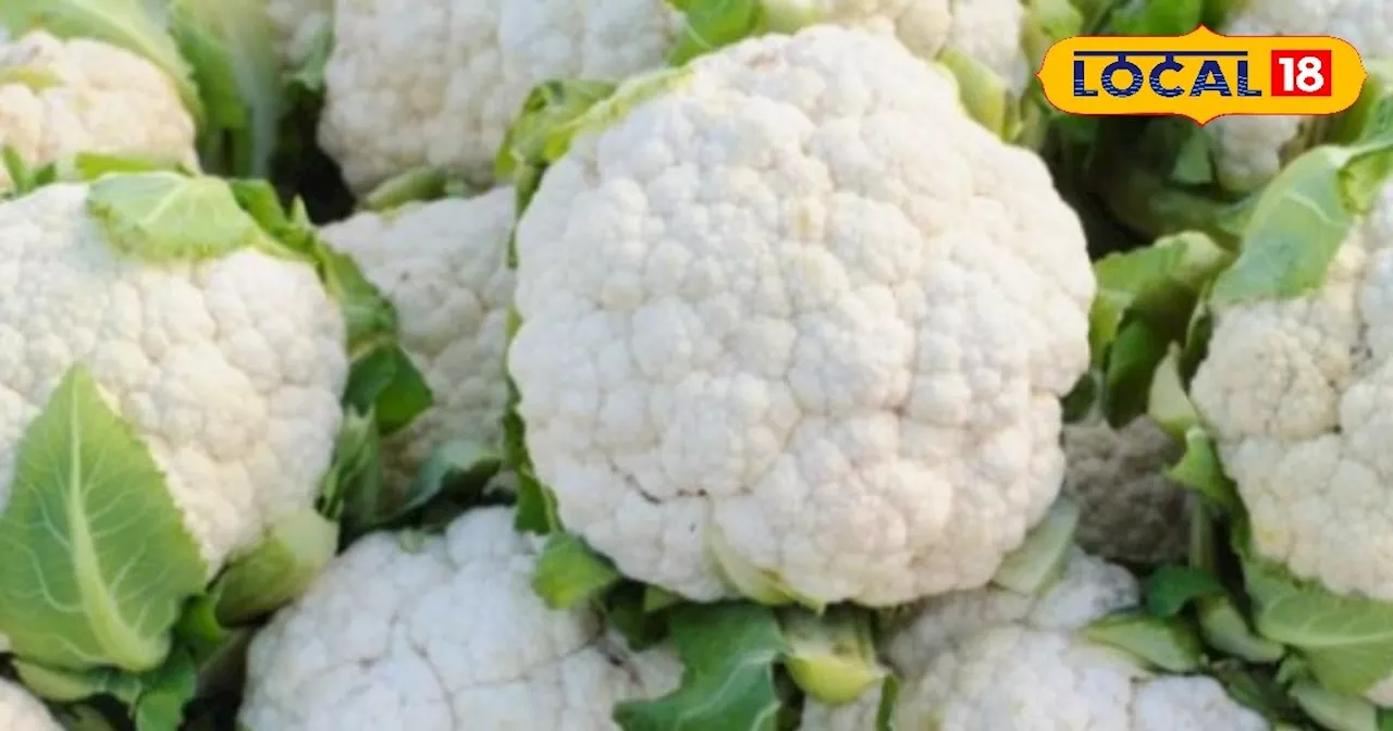 Cauliflower Farming: फूलगोभी की खेती से किसान कर रहे लाखों की कमाई, जानिए कैसे