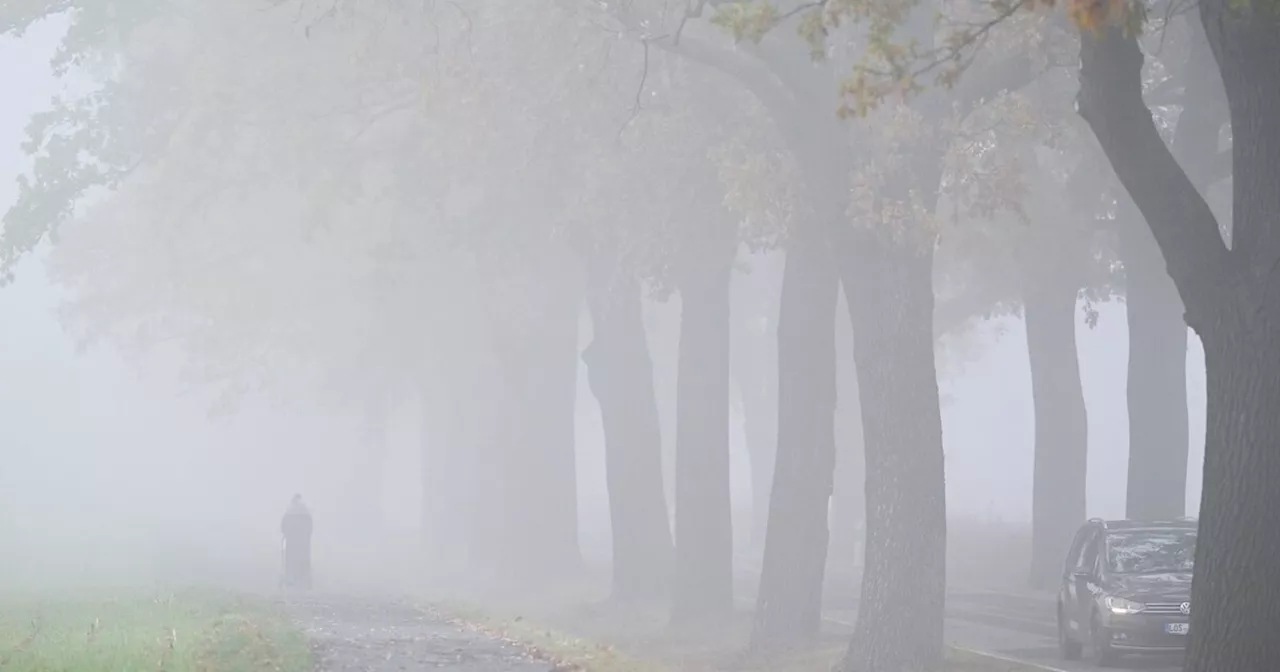 Advent, Advent, der Nebel hängt: Trübes Wochenende in Bayern