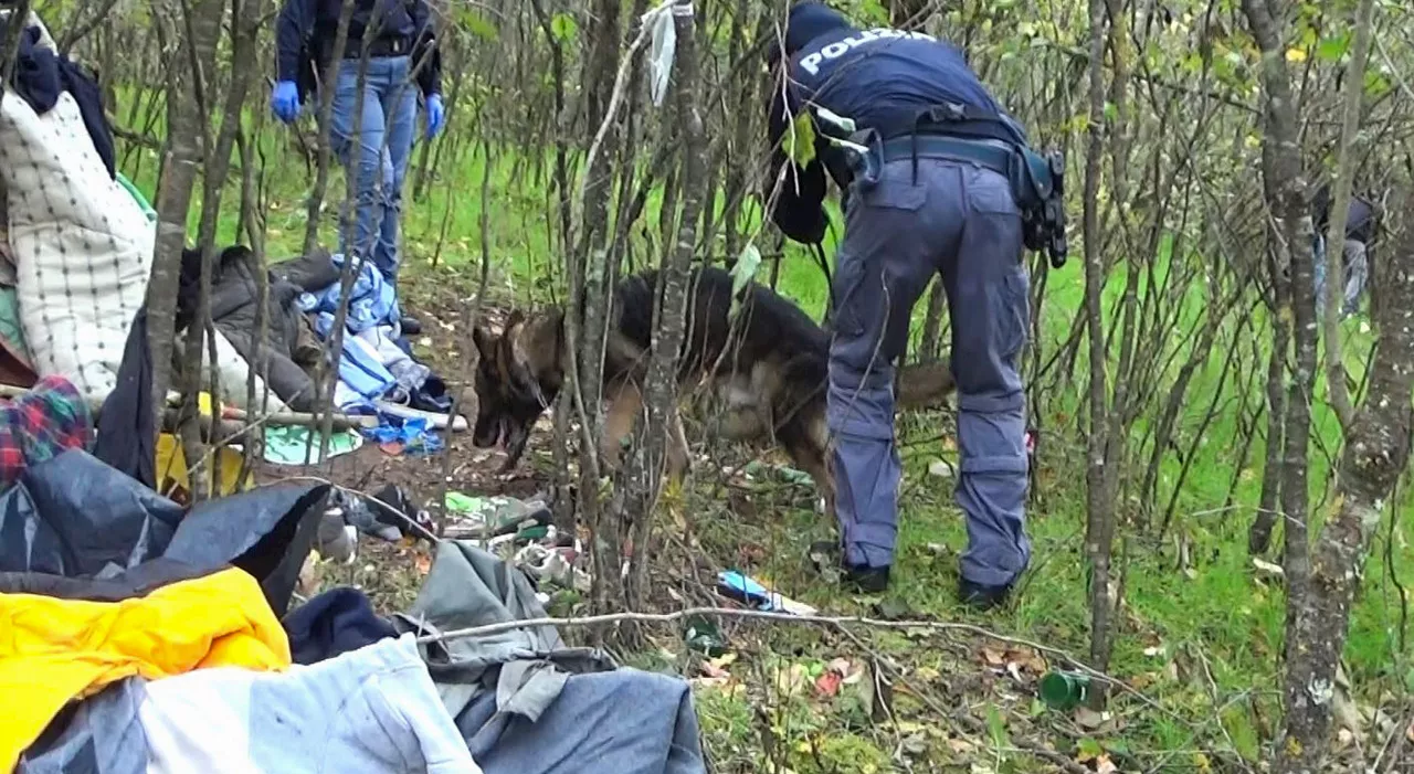 Operazione Anti-S against Drug Dealers in Orvieto's Forests