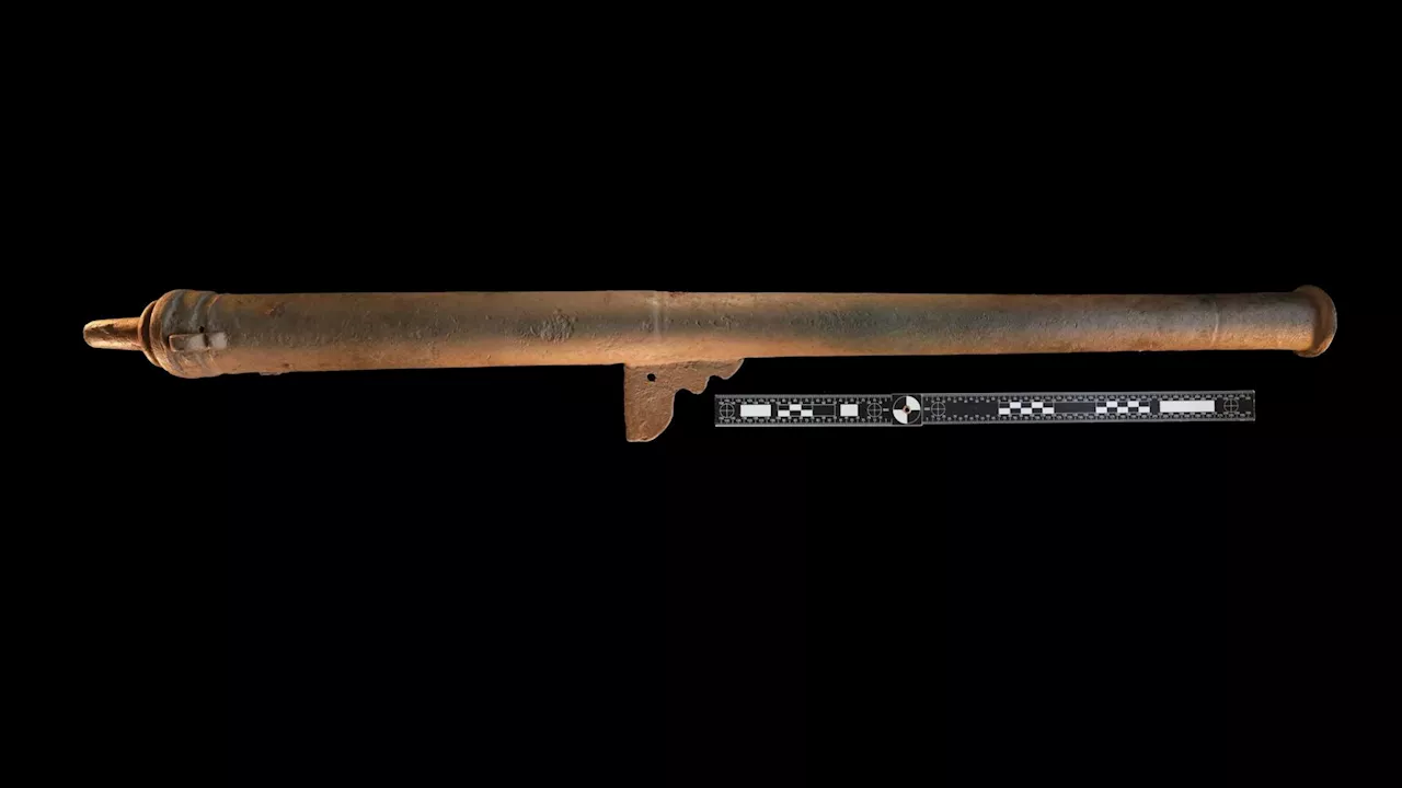 ‘Priceless’ 480-year-old gun discovered in Arizona is ‘oldest US firearm’