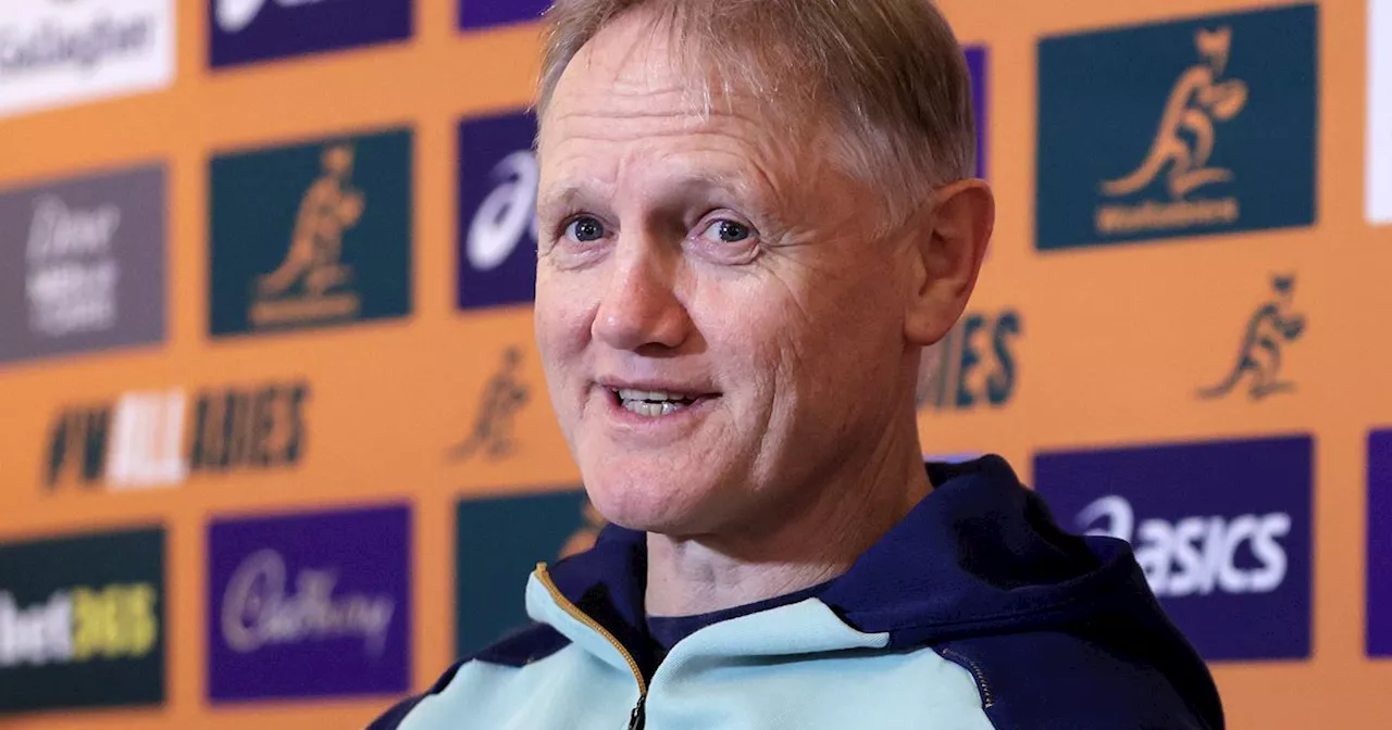 Joe Schmidt Feels Comfortable Back in Dublin