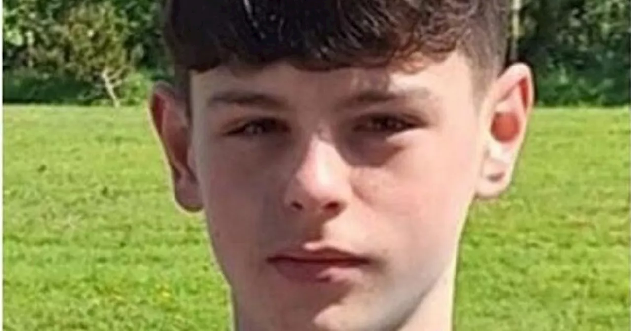 Missing Teenager: Fergus Harty, 13, Has Been Missing for Over a Week from Ballymore, Westmeath