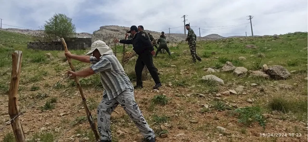 Şangın İbrahim Canı, Milli Topraklardaki Faaliyetleri Bildiriyor