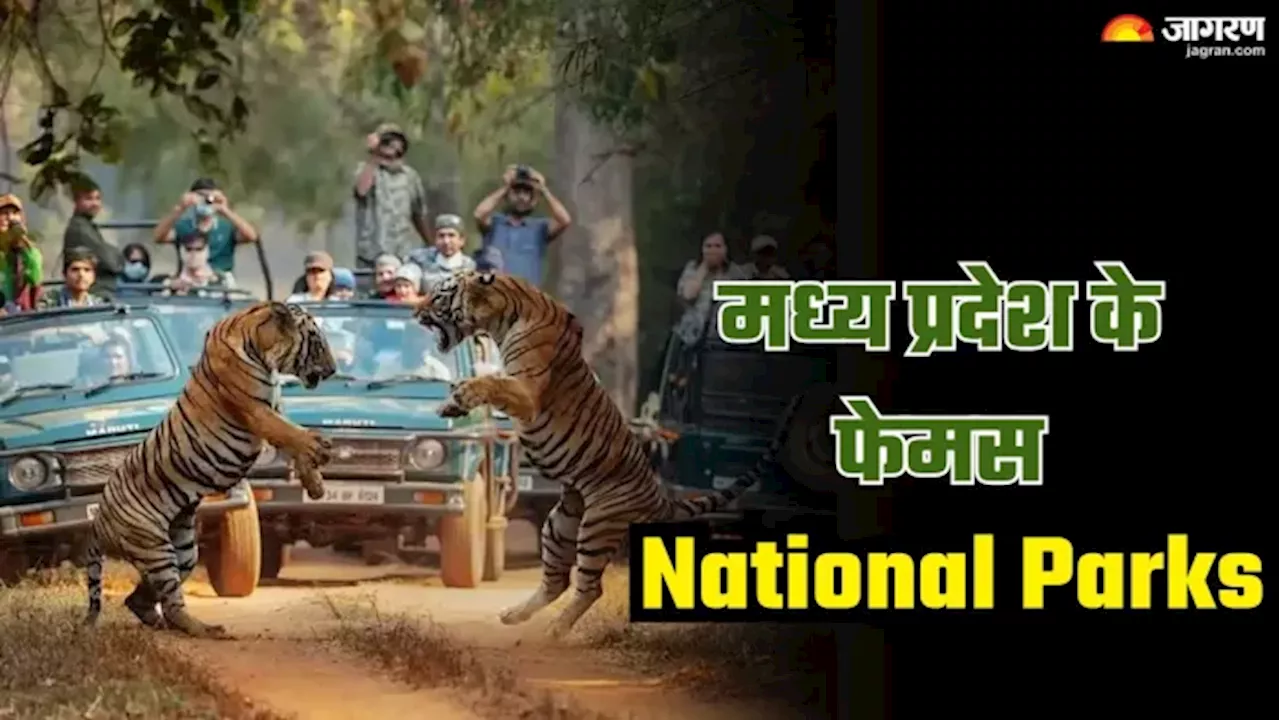 National Parks के लिए फेमस है Madhya Pradesh, वाइल्‍डलाइफ के शौकीन एक बार जरूर करें वि‍जिट