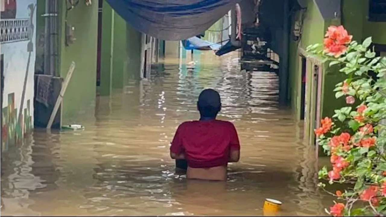 Luapan Kali Ciliwung Rendam Permukiman Kebon Pala Setinggi 2,5 Meter, Ratusan Rumah Terdampak