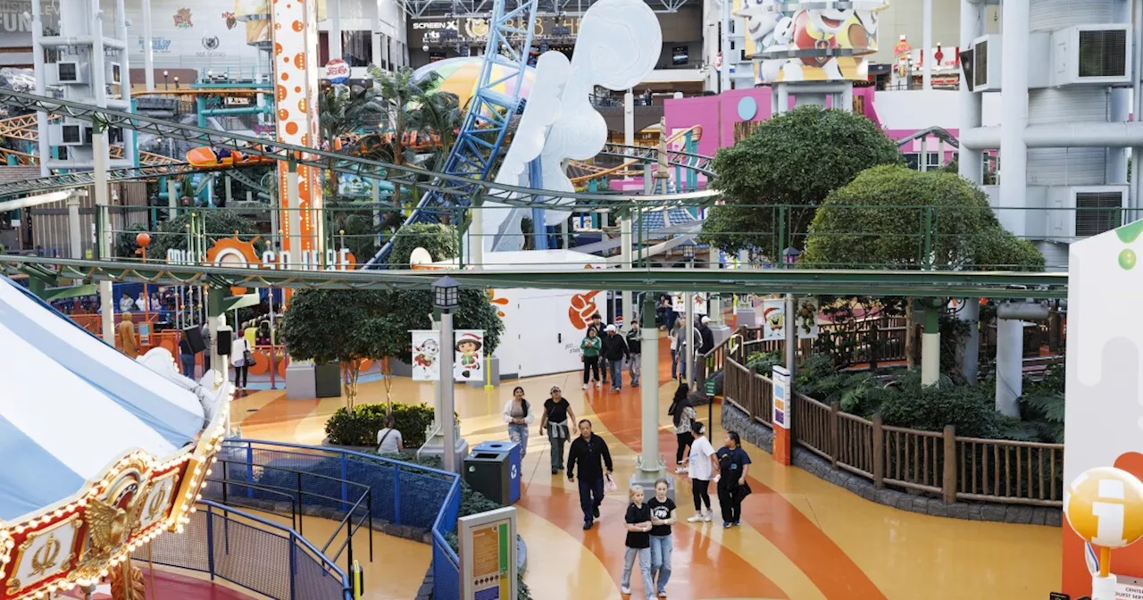 Come for the roller coaster, stay for the shops: Can malls be fun again?