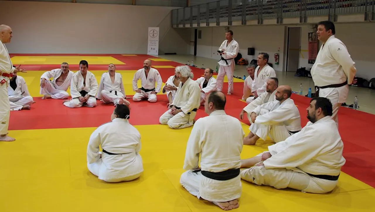 Rassemblement des judokas tarnais vétérans