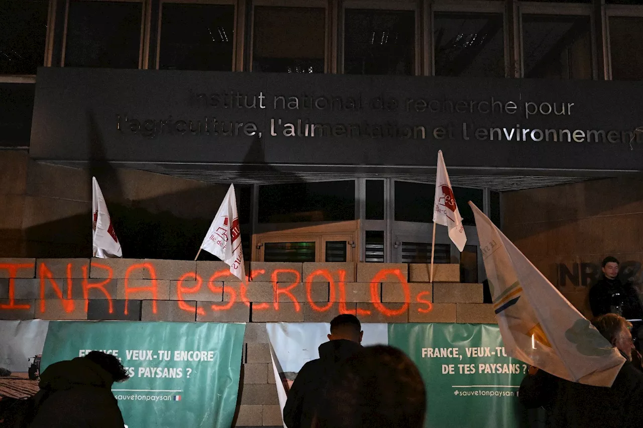 Des centaines d'agriculteurs érigent des murs symboliques devant l'Anses et l'Inrae