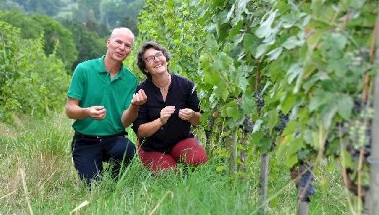 Un vino naturale della Loira battezza la rinascita di Notre-Dame