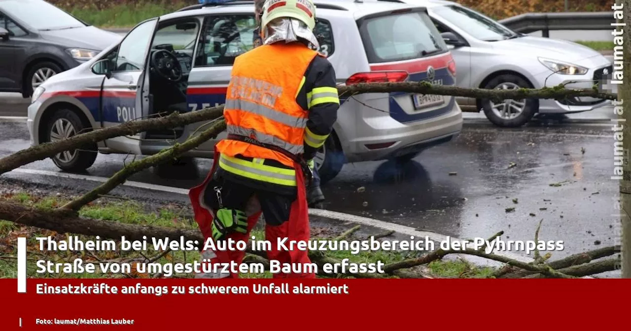 Thalheim bei Wels: Auto im Kreuzungsbereich der Pyhrnpass Straße von umgestürztem Baum erfasst