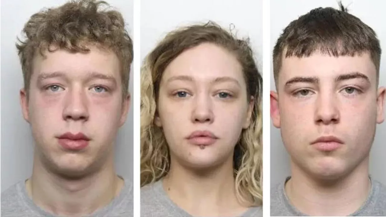 Woman and two men jailed after luring man to Sheffield park before murdering him with machete