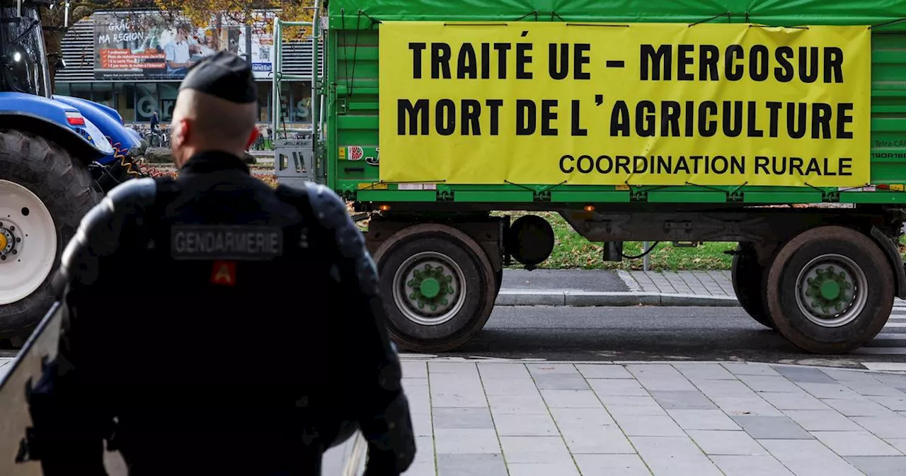 «Le Mercosur, mauvais pour l’environnement, pour nos agriculteurs et pour la protection des consommateurs»