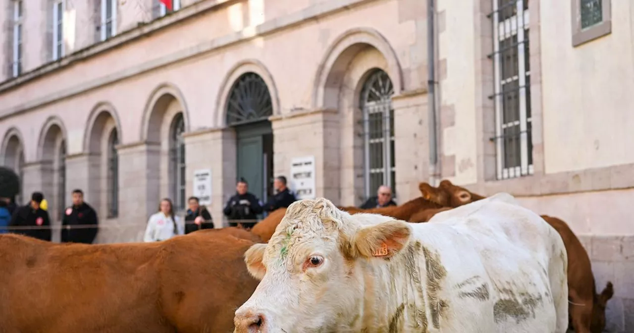 Plus d'une centaine d'agriculteurs érigent un mur devant l'institut Inrae à Paris