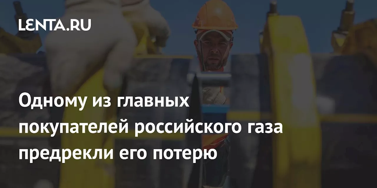 Одному из главных покупателей российского газа предрекли его потерю