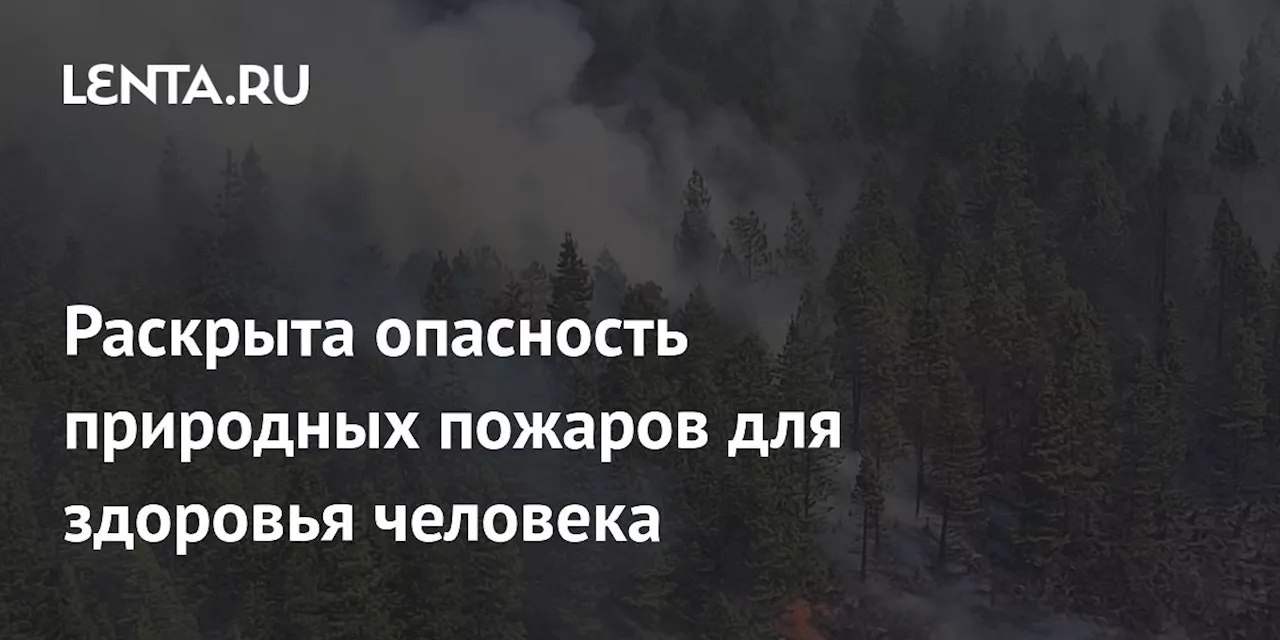 Раскрыта опасность природных пожаров для здоровья человека