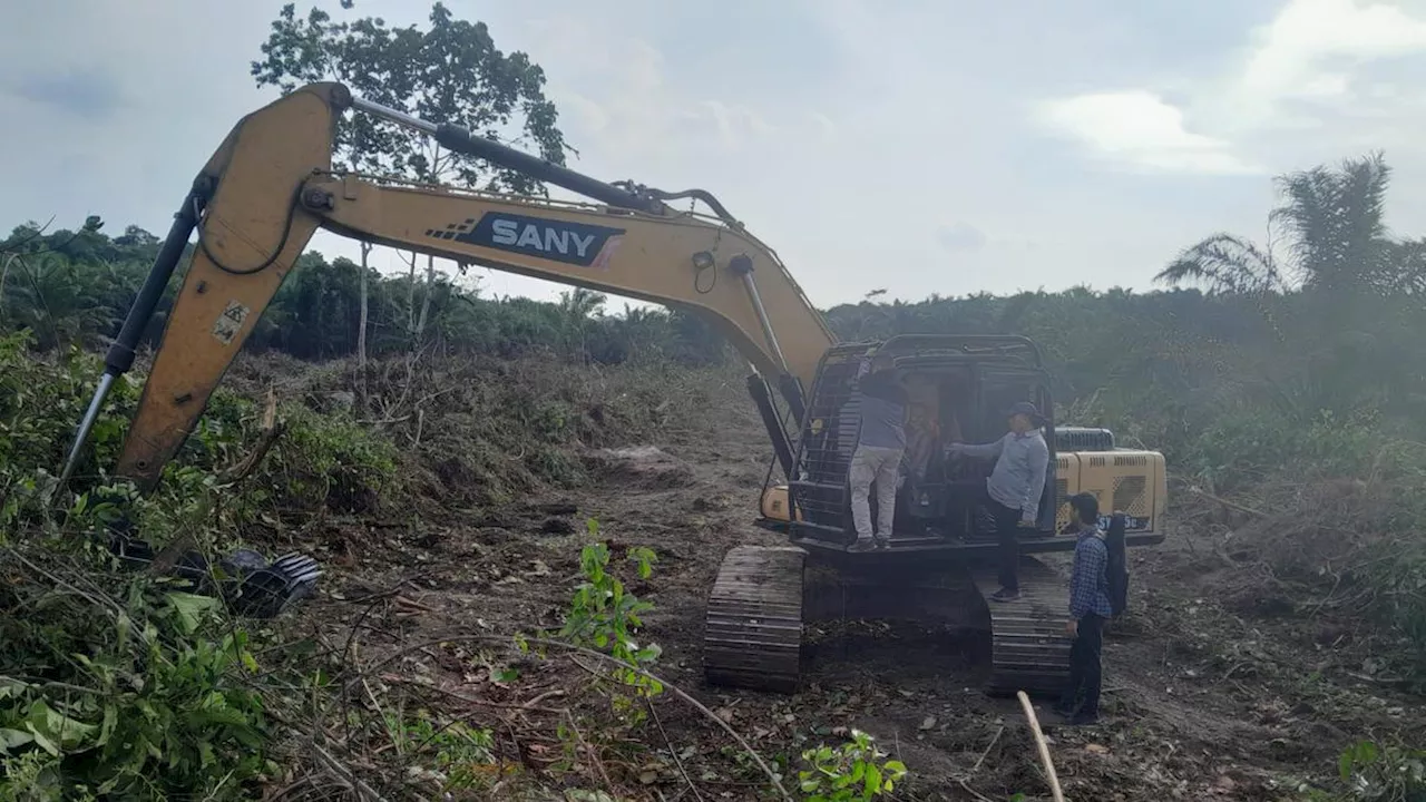 Nasib 2 Orang Perusak Habitat Harimau dan Gajah di Taman Nasional Tesso Nilo