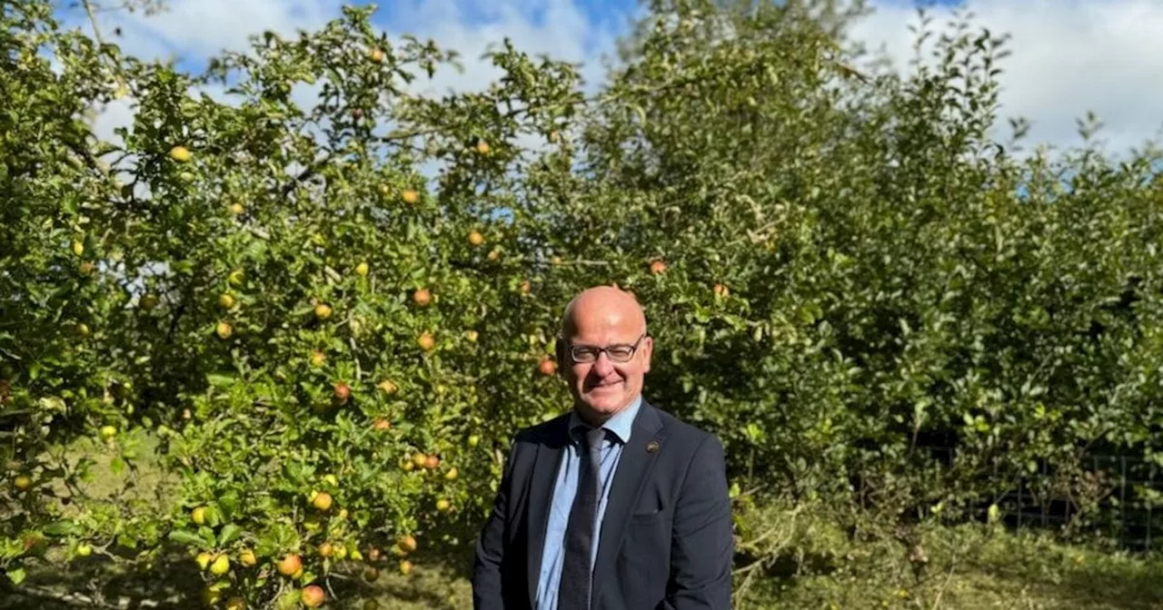 Lancashire Receives £1 Million Grant for Tree Planting