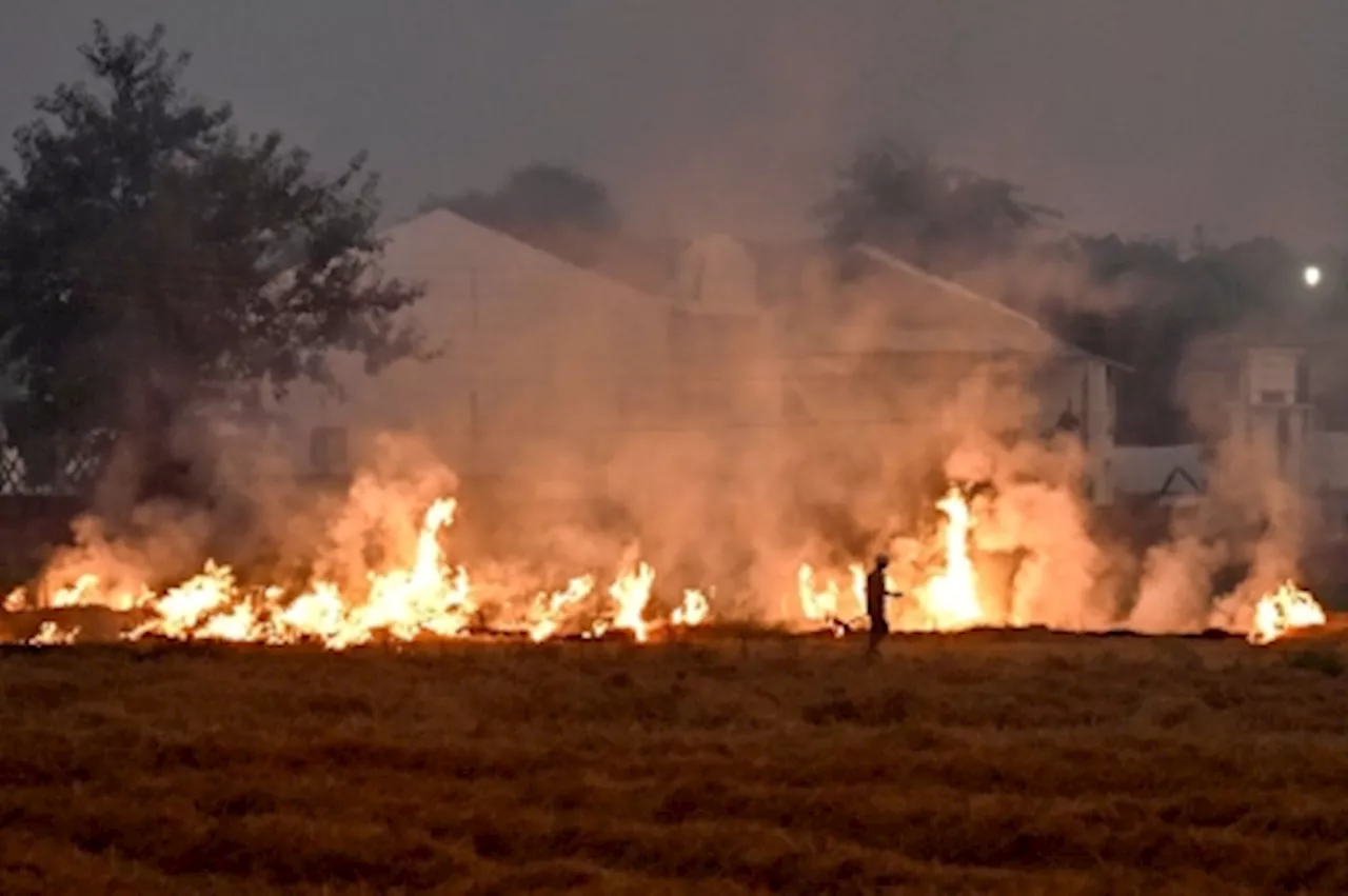 Lancet Study Links Over 1.5 Million Annual Deaths to Fire-Related Air Pollution