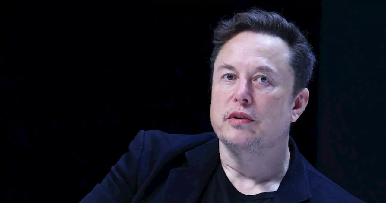 Comment Elon Musk s’est-il imposé comme le roi des masculinistes ?