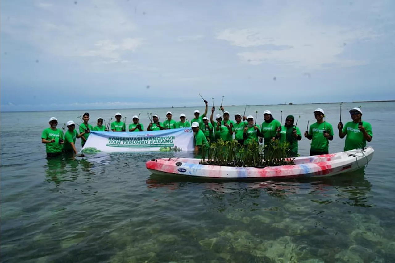 Wujudkan Program Berkelanjutan Melalui Penanaman Mangrove