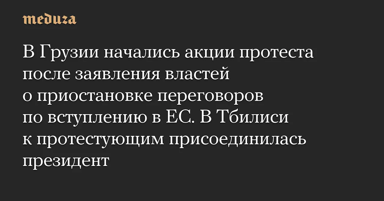 Протесты в Грузии после объявления о приостановке переговоров о вступлении в ЕС