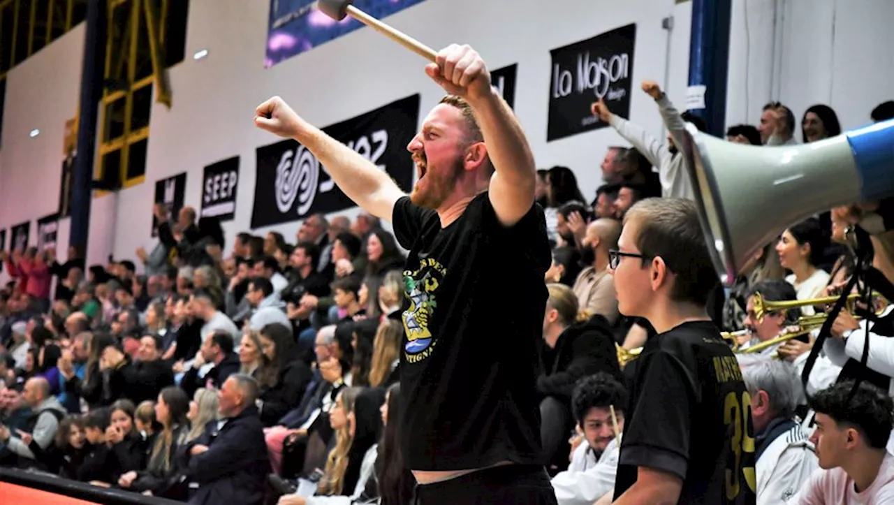 Handball : à Frontignan, Ferrari dans une forme olympique pour recevoir le choc de Proligue