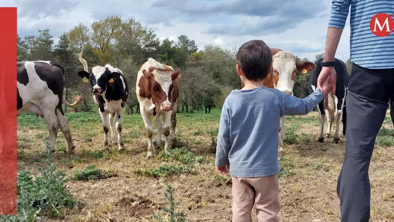 Crecer en contacto con animales reduce el riesgo de padecer alergias