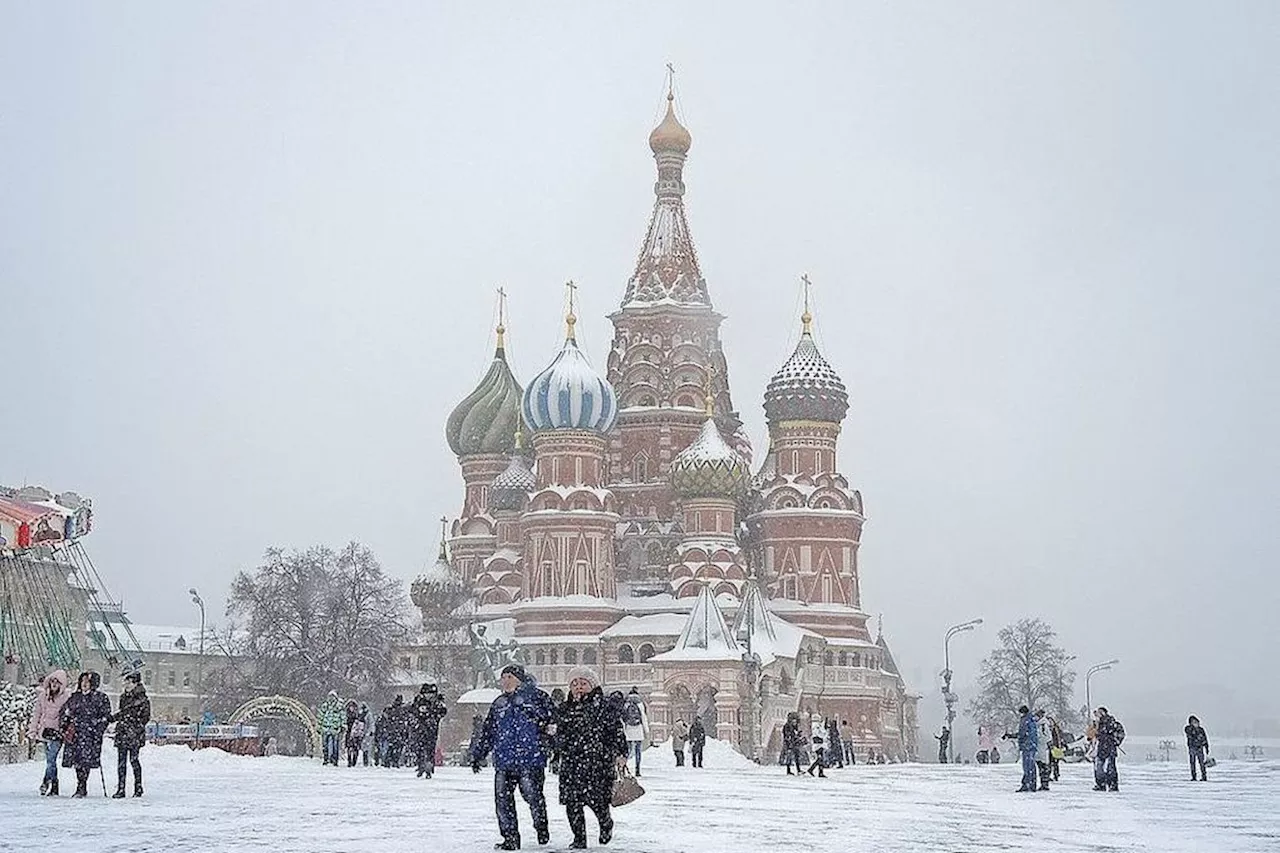 Терапевт рассказала о пользе зимнего воздуха для аллергиков