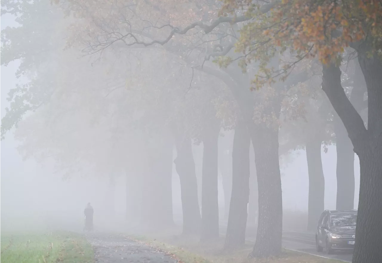 Advent, Advent, der Nebel hängt: Trübes Wochenende in Bayern