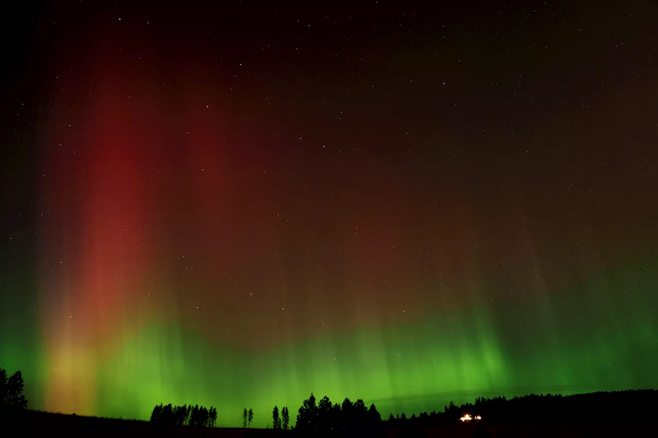 Thanksgiving Night Skies Could Light Up with Northern Lights