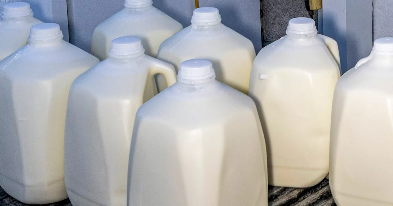 Bird flu detected in second lot of raw milk sold in California, health officials say