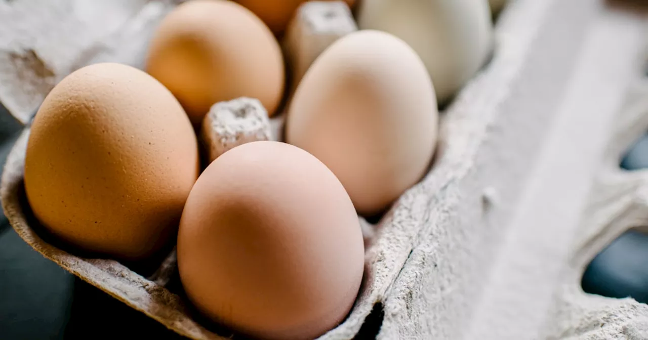 Organic eggs sold at Costco recalled over salmonella concerns