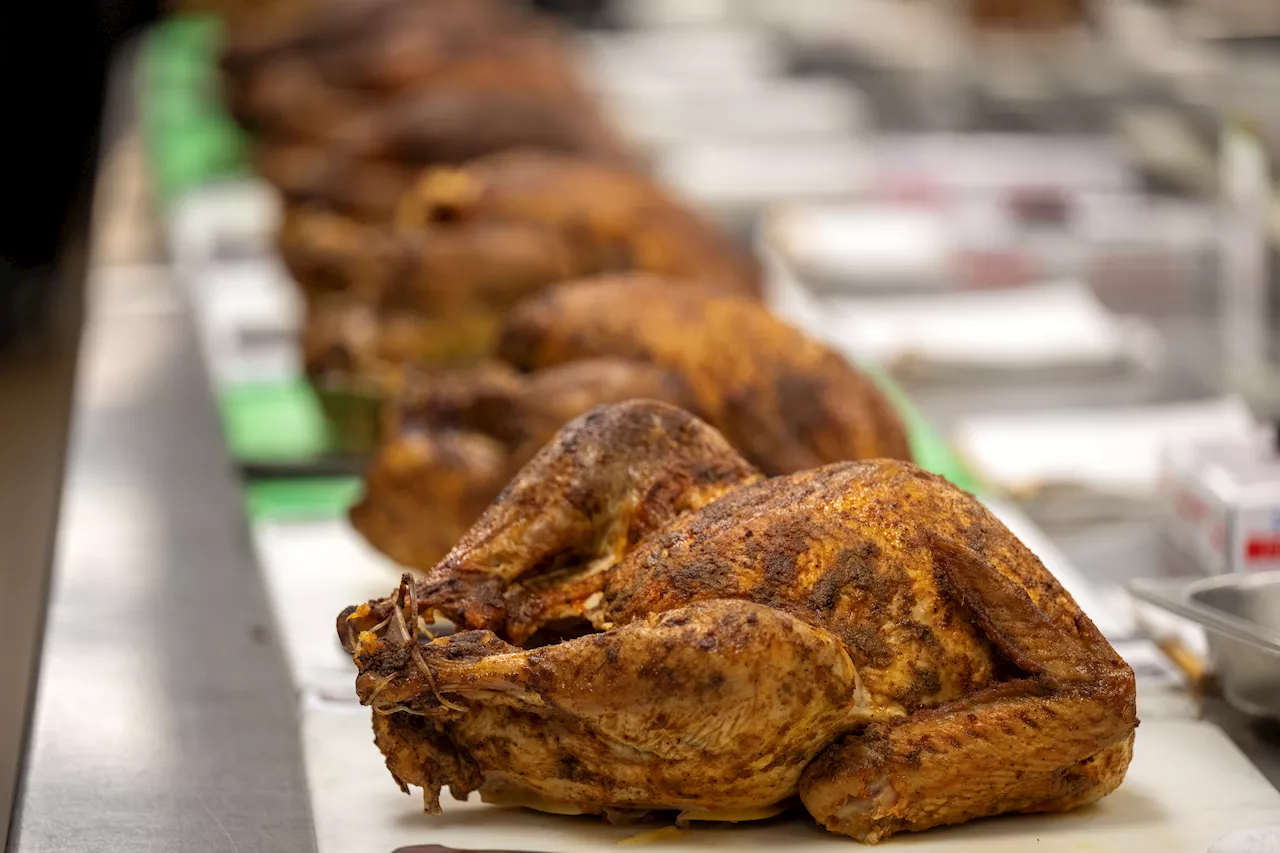 Alaskan Woman Ditches Squirrels for Turkey Delivery in Rural Areas