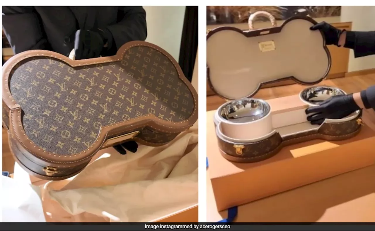 Indian CEO Spends Rs 14 Lakh On Louis Vuitton Dog Suitcase