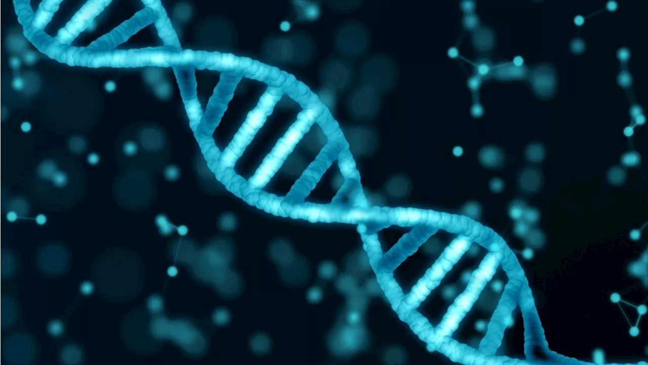 How genetic traits contribute to earlier diabetes onset and metabolic challenges in South Asians