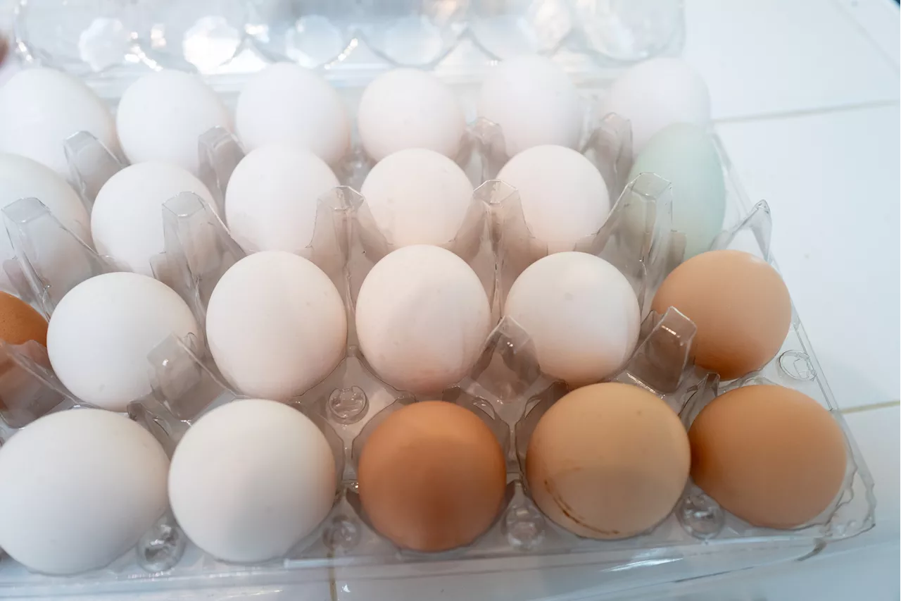 Egg Recall Sparks Warning in Five States