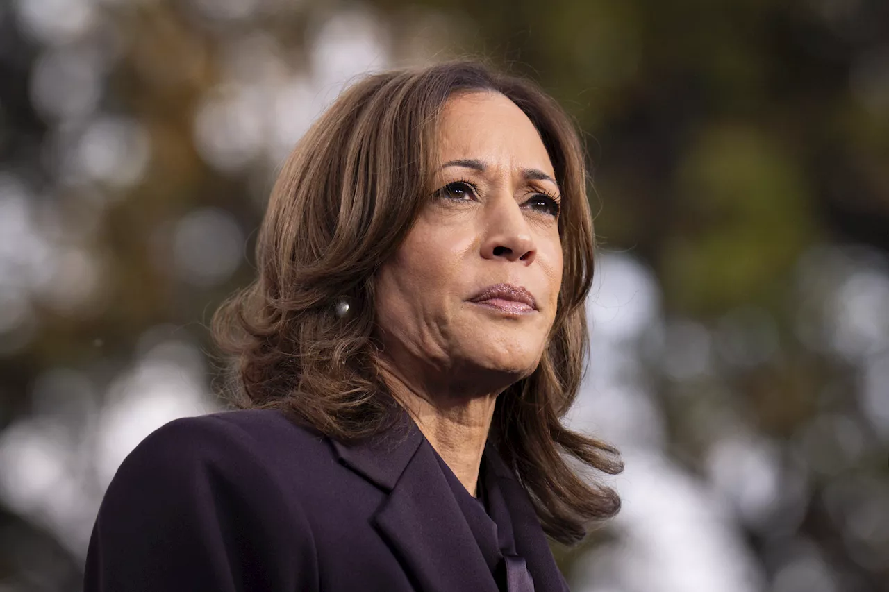 Kamala Harris' Secret Service Catch Employee With Loaded Gun at Her Hotel