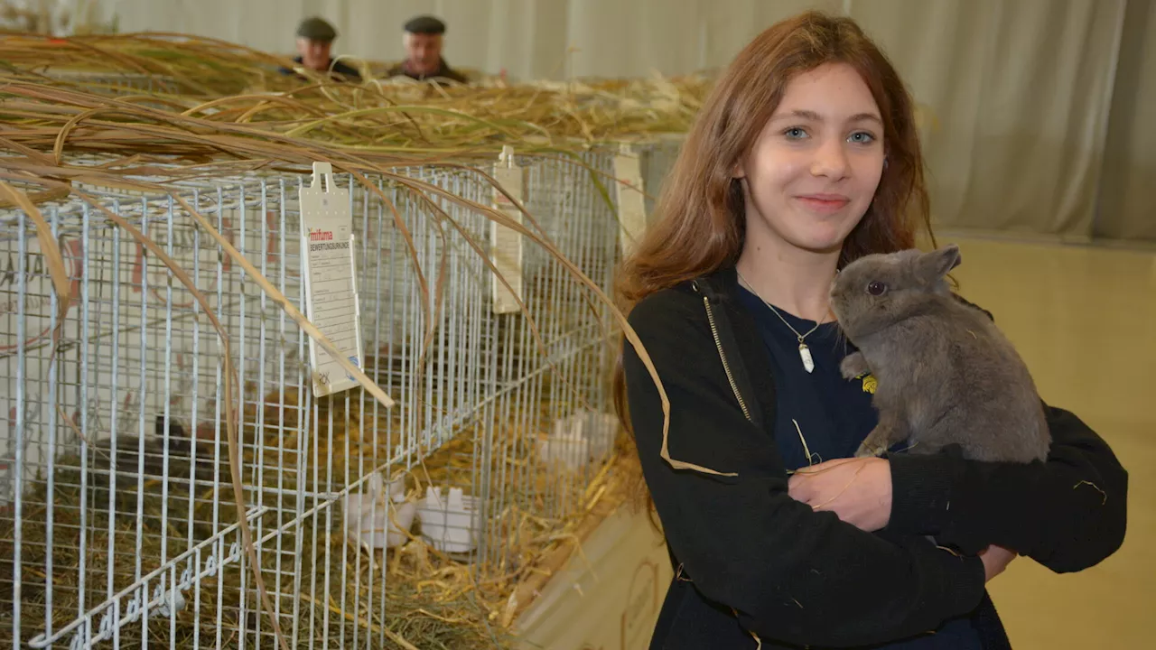 Erlauftaler Kleintierschau in Wieselburg trotz Vogelgrippe erfolgreich