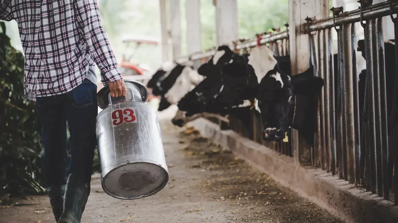 Cómo la Industria Láctea Apoya a los Ganaderos Ante los Retos del Mercado