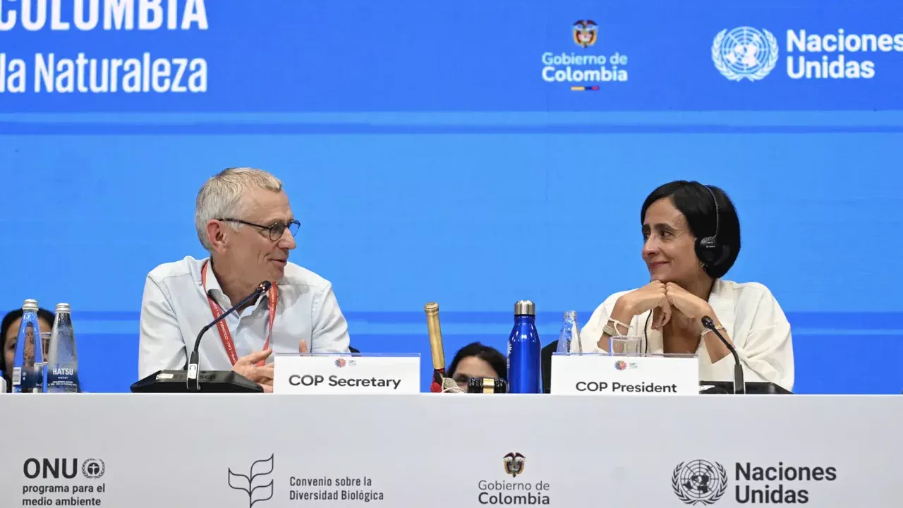 COP16 se reanuda en Roma para alcanzar un acuerdo de financiación perdido en Cali