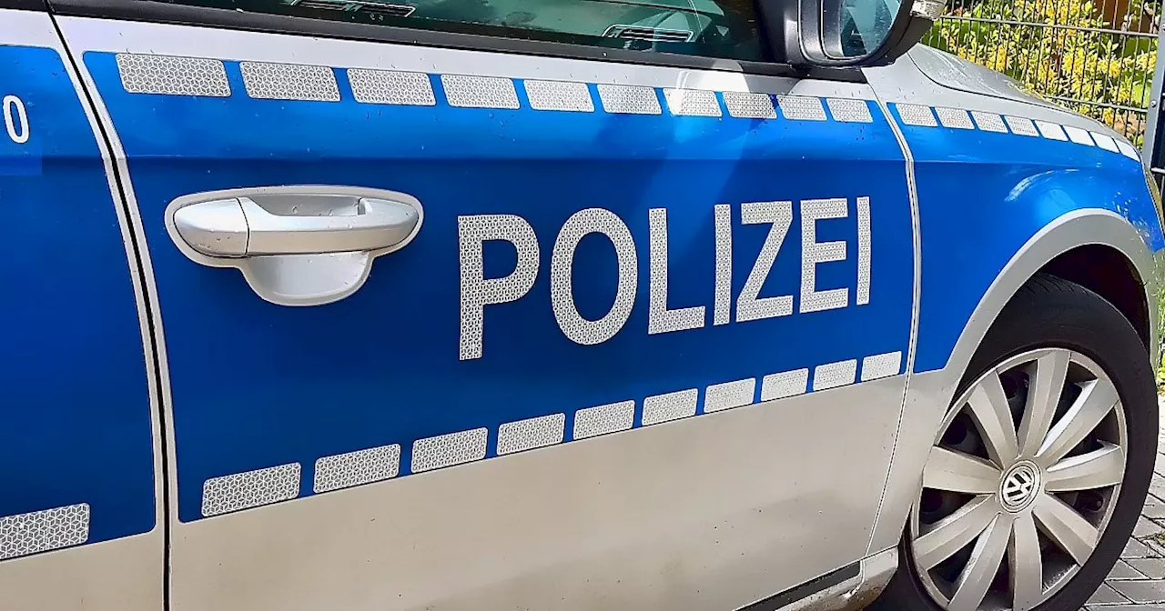 Geparktes Auto in Paderborn von Baum getroffen