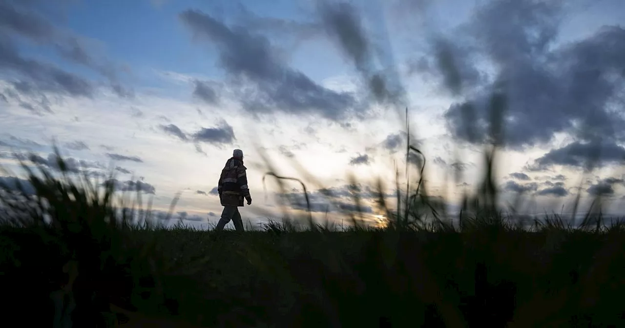 Keine Lust auf Spaziergang? Probieren Sie diese Tricks!